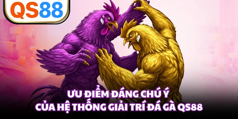 Ưu điểm đáng chú ý của hệ thống giải trí đá gà QS88